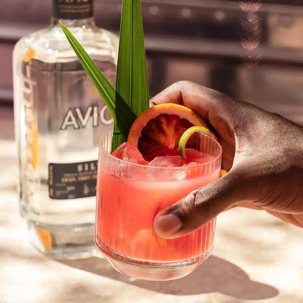 La Paloma