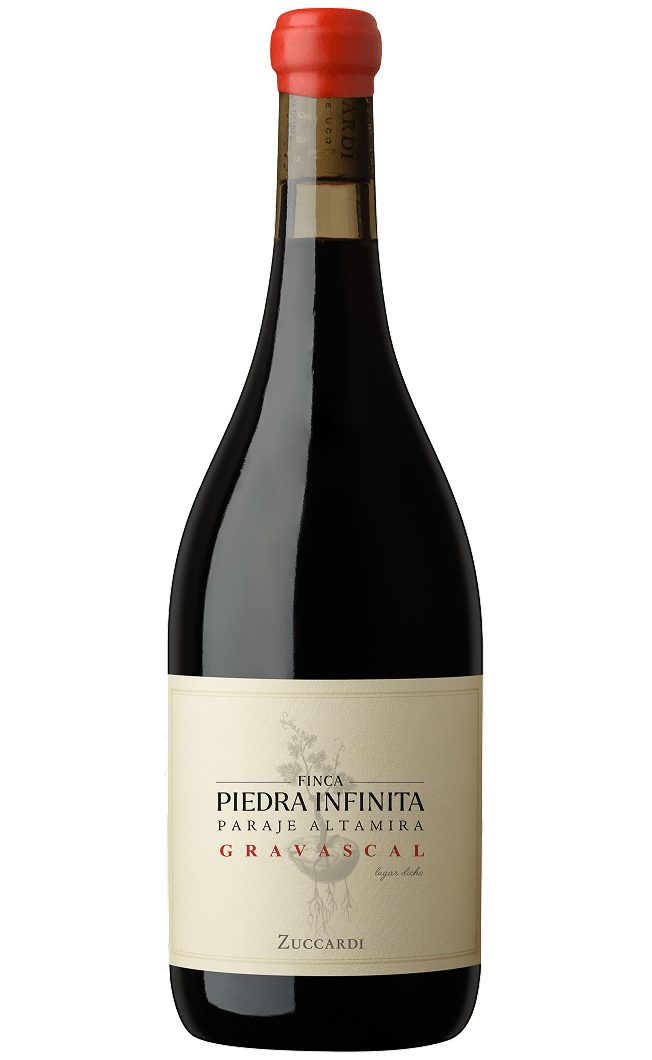 Zuccardi Piedra Infinita Gravascal 2021