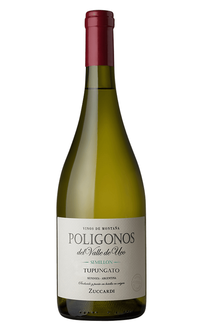Zuccardi Poligonos Tupungato Semillon