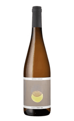Sophie Schaal Pinot Gris