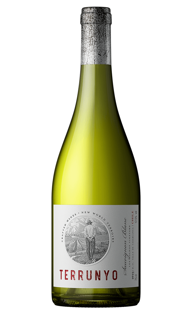 Terrunyo Sauvignon Blanc