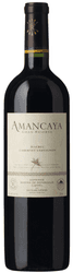 Bodegas Caro Amancaya