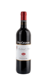 Pio Cesare Barbera D'Alba