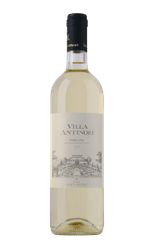 Villa Antinori Bianco