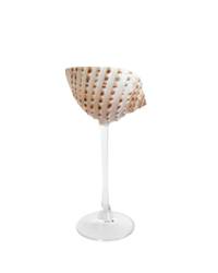 Brown & White Seashell Glass With Clear Stem 10 CL x 2