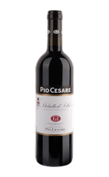 Pio Cesare Dolcetto D'Alba