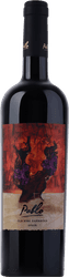 Pablo Old Vine Garnacha Catalunya DO