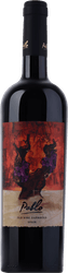 Pablo Old Vine Garnacha Catalunya DO