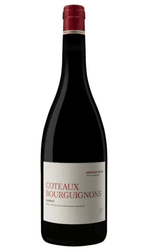 Coteaux Bourguignons Gamay Arnaud Boue 2021