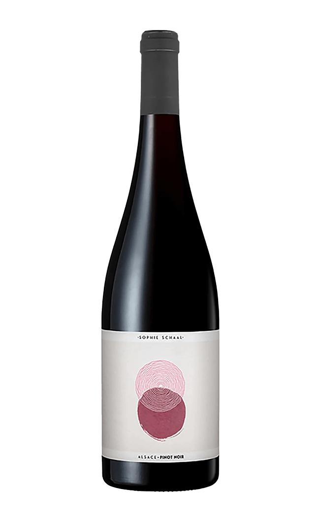 Sophie Schaal Pinot Noir