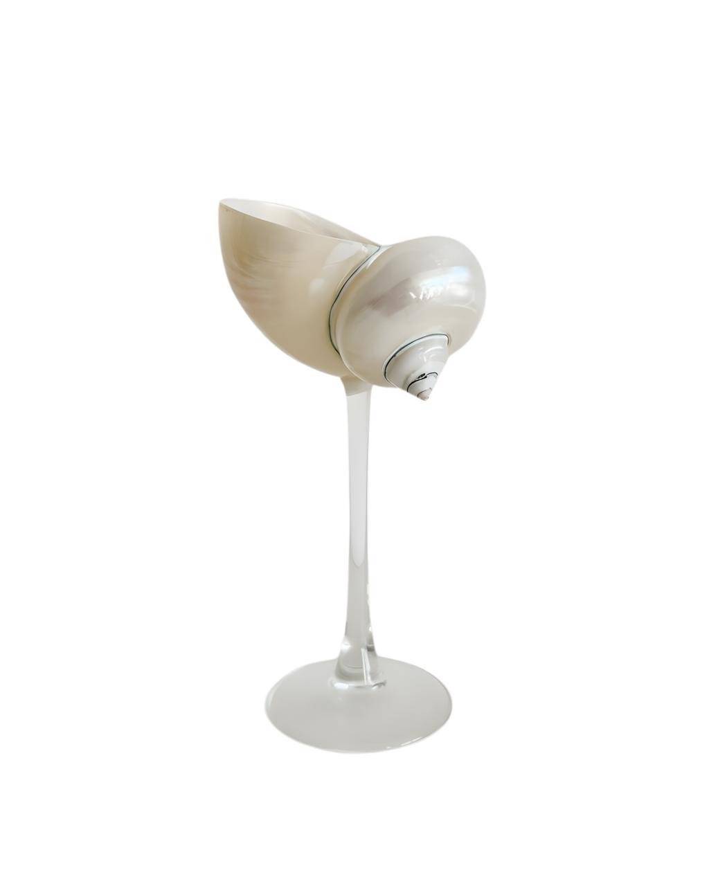 VERRE001CS2