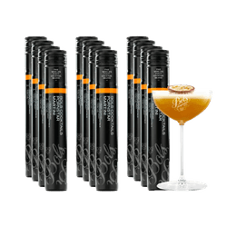 Bols Espresso Martini 12 x 20 Cl