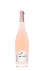 Pearl Provence Rose