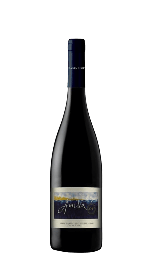 Amelia Pinot Noir 2021