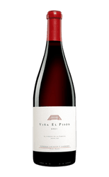 Artadi Sp Vina El Pison 2021