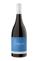 Ca'Bolani Merlot